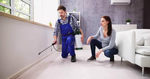 Reliable Bowling Green, OH Pest Control Solutions